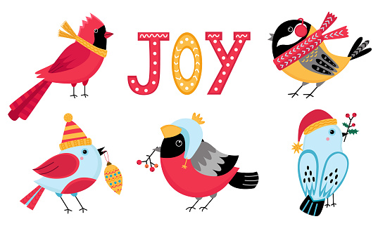 Collection of birds in cartoon style. For Christmas greeting cards, banners, posters.