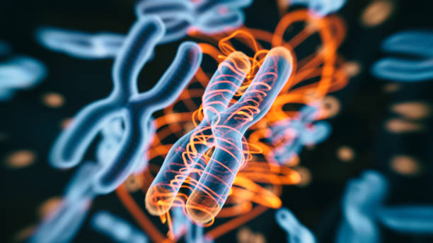 абстрактная генетика - dna chromosome genetic research research стоковые фото и изображения