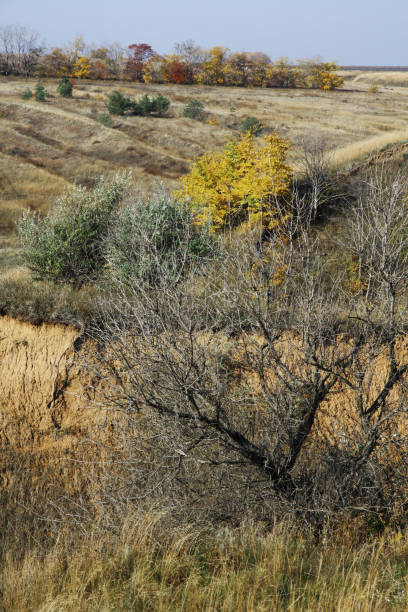 istock Vivid autumn landscape 1284444491