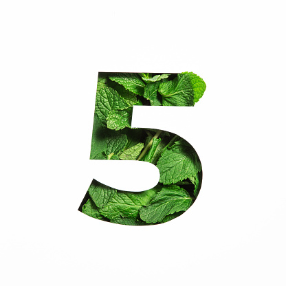 Number five made of green mint natural leafs and paper cut in shape of fifth numeral isolated on white. Leaves font. High quality photo