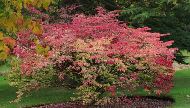 istock Autumn  colours in the Park 1284445679