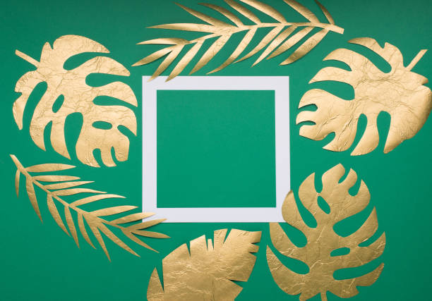 istock Golden tropical leaves Monstera and empty paper white frame on green background. 1284448042