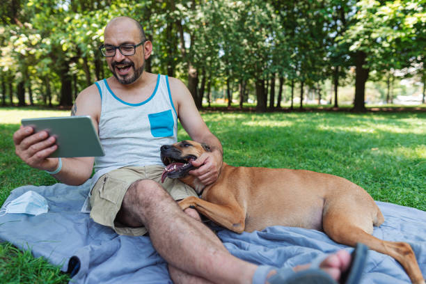 Man surfing the net on the tablet and playing with his dog