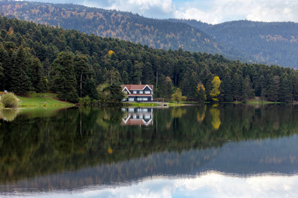 golcuk nature park in bolu - turkey - woods reflection famous place standing water imagens e fotografias de stock