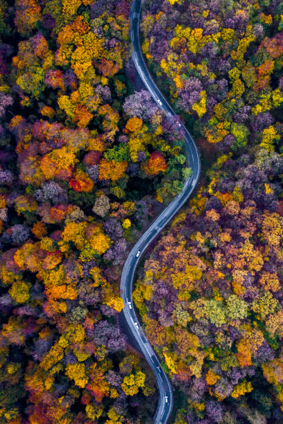 다채로운 가을 숲 한가운데에 있는 산악 도로의 드론 보기 - autumn driving car road 뉴스 사진 이미지