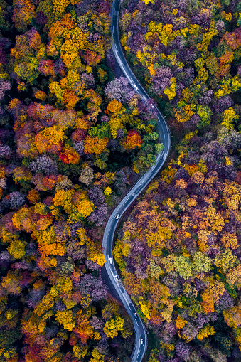 Curvy road in the middle of the colourful autumn forest seen from a drone point of view.