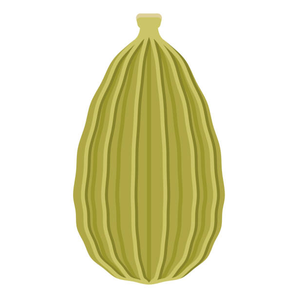значок кардамона на прозрачном фоне - cardamom seed plant isolated stock illustrations