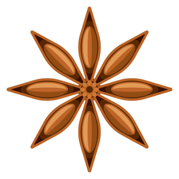 Star Anise Icon on Transparent Background A flat design icon on a transparent background (can be placed onto any colored background). File is built in the CMYK color space for optimal printing. Color swatches are global so it’s easy to change colors across the document. No transparencies, blends or gradients used. star anise stock illustrations