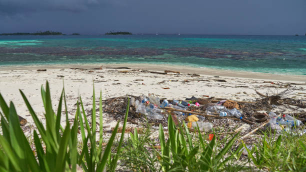 istock Different types of plastic garbage found on paradise uninhabited islands 1284455742