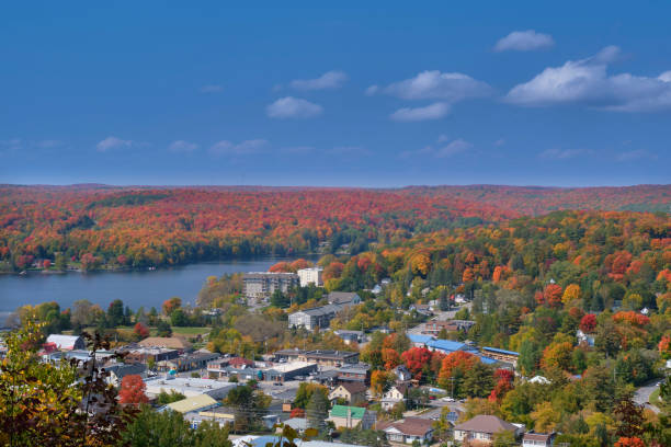 istock Autumn colours in Haliburton Ontario 1284456782