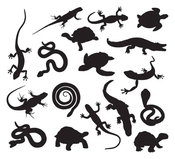 Vector illustration of Reptiles Silhouettes