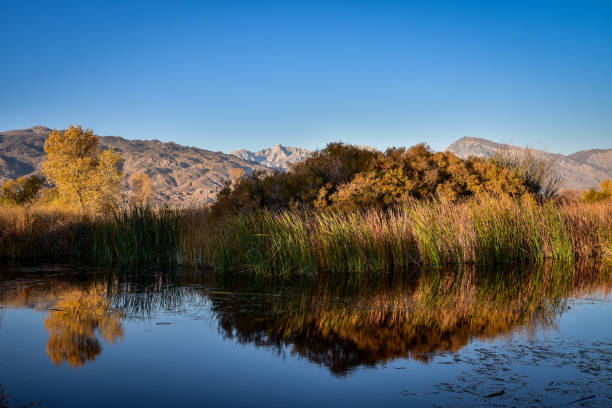 istock autumn trees reflection in wetlands marsh water mountain valley 1284462785