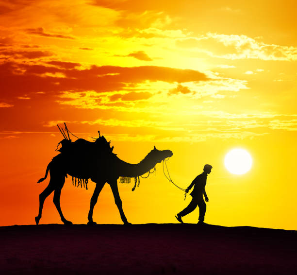 istock Bedouin in camel caravan walking through desert at beautiful sunset 1284463164