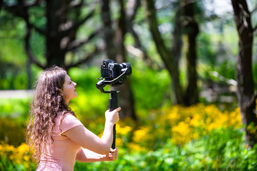 Story of the Forest trail with photographer woman filming holding gimbal in Shenandoah Blue Ridge appalachian mountains on skyline drive yellow wildflowers in background