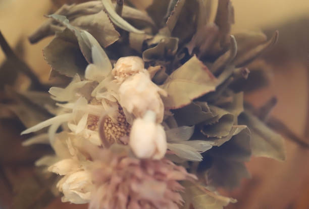 istock abstract blurred floral background in beige colors 1284465226