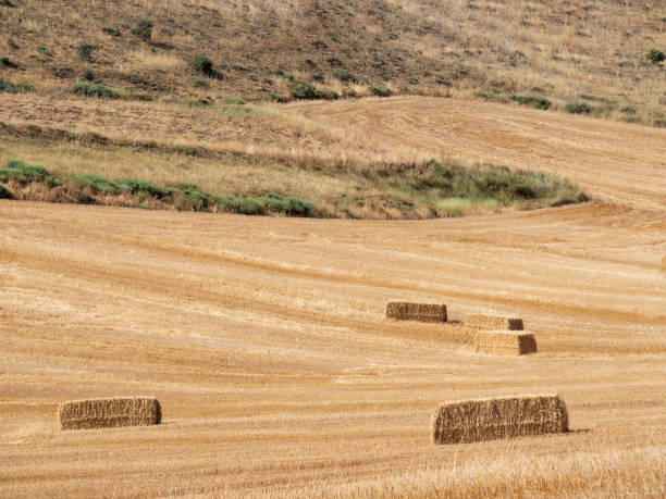 istock Stubble field with hay bales under a spectacular summer sky 1284465314