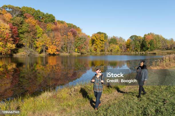Adult Female Friends Walking Together On An Autumn Day In Upstate New York Stock Photo - Download Image Now