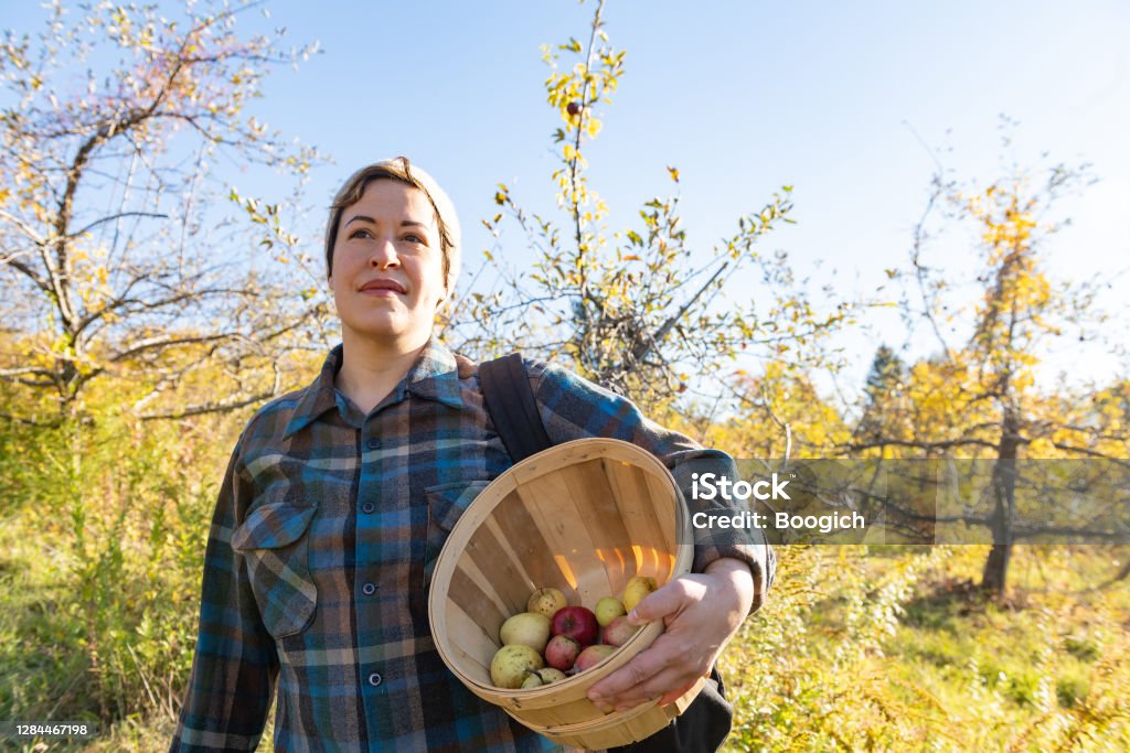 Mixed Race Non Gender Person with Apple Picking Basket in Upstate New York On a sunny weekend day on the organic Stone Ridge Orchard farm in upstate New York a non gender person of Middle Eastern and European descent stands by the trees holding an apple picking basket. Non-Binary Gender Stock Photo
