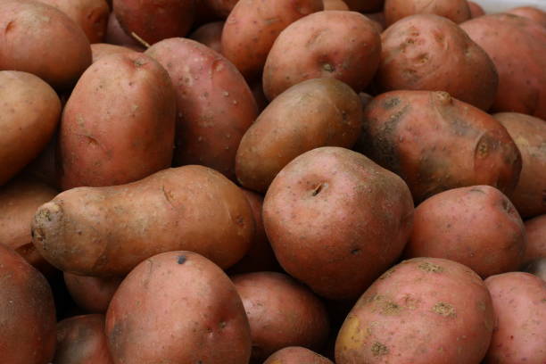 pomme de terre rouge - red potato raw potato chopped vegetable photos et images de collection