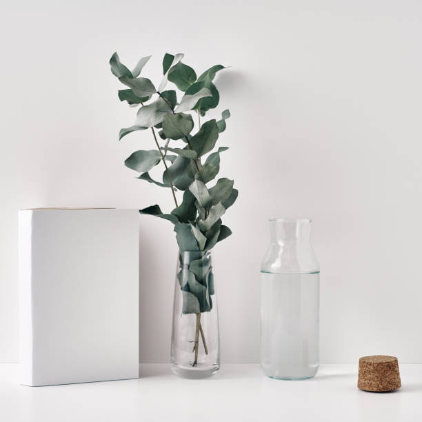 istock Two transparent vases, a eucalyptus branch and a white frame on a white background. Copy space, mock up, top view. 1284473015