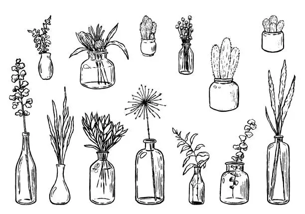Vector illustration of Hand drawn vector illustration. Collection of varied vases, bottles, and jars of flowers and plants. Vintage botanical set. Decorative floral outline elements isolated in white. Details for design.