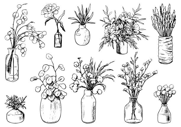 花や植物の様々な花瓶、ボトル、瓶のコレクション。手描きのベクトルイラスト。ヴィンテージボタニカルセット。白で分離装飾花の輪郭要素。設計に使用できます。 - usable点のイラスト素材／クリップアート素材／マンガ素材／アイコン素材