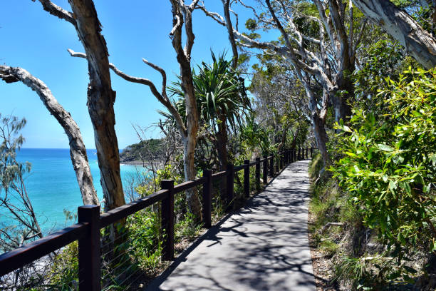 sentiero nella foresta con uno straordinario scenario oceanico al parco nazionale di noosa - coastline noosa heads australia landscape foto e immagini stock