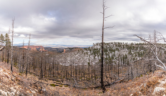 Late fall in Bryce Canyon National Park, Utah, USA. Extra-large high resolution stitched panorama.