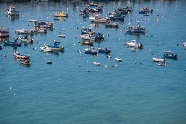 Top-down drone view of colorful fishing boats docked in the marina of Aveiro, Portugal. Symmetry and geometric composition from above.