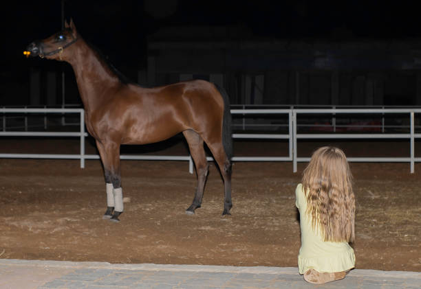 Young girl watching a large horse at night