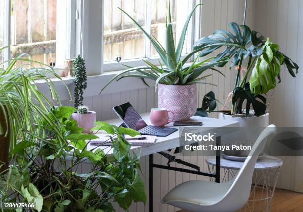 Work From Home Office With Potted House Plants Stock Photo - Download Image Now - Plant, Houseplant, Working At Home