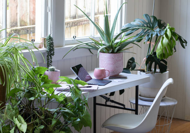 trabalho do home office com vasos de plantas da casa - desk office home interior house - fotografias e filmes do acervo