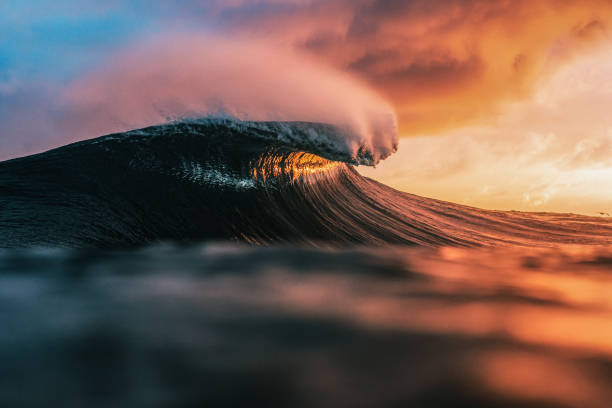 elite sunset wave - tahiti imagens e fotografias de stock