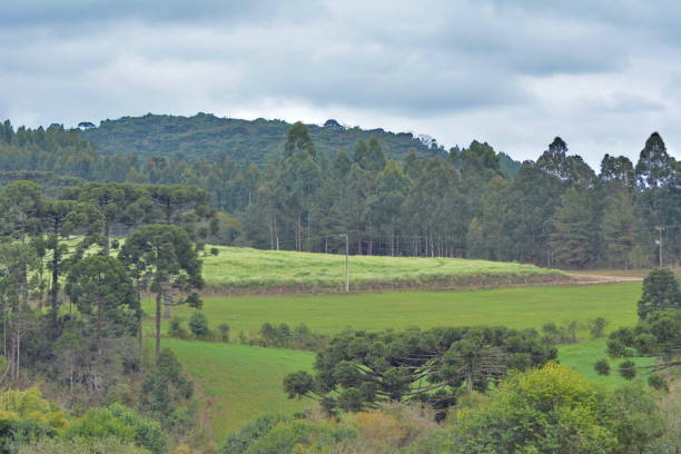 istock Santa Catarina landscapes 1284485264