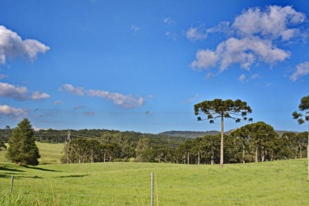 istock Santa Catarina landscapes 1284485284