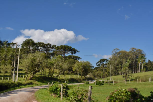 istock Santa Catarina landscapes 1284485341