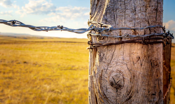 istock Old, weathered fence post wrapped in barbed wire 1284488578