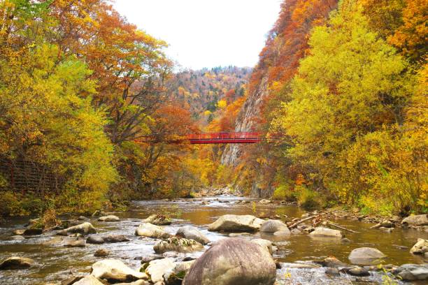 Photo of Jozankei Onsen and Futami Suspension Bridge in late autumn