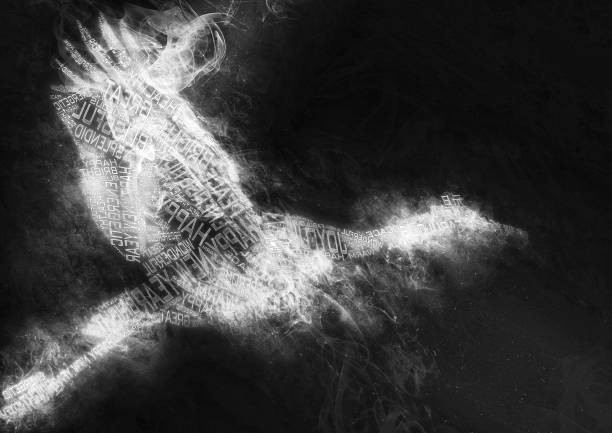 Slim, sexy human female standing behind a curtain.