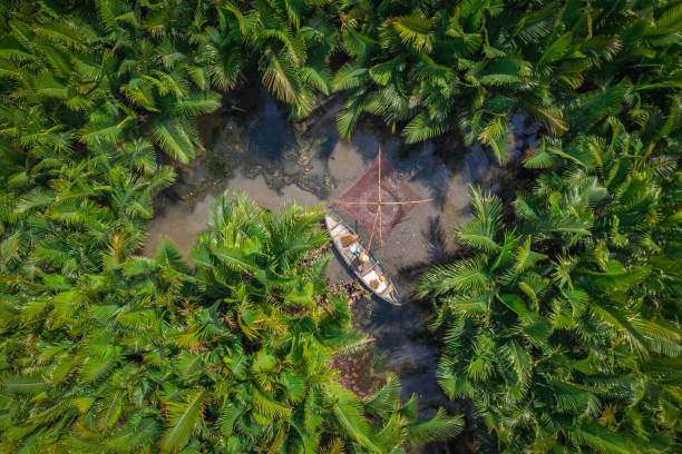 istock Catching fish in nipa palm jungle 1284510501