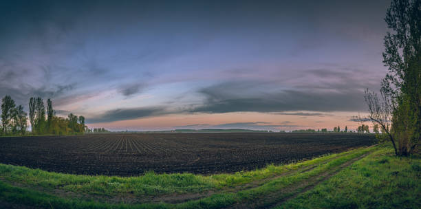 istock Fields landscape in summer sunset and sunrise 1284511866