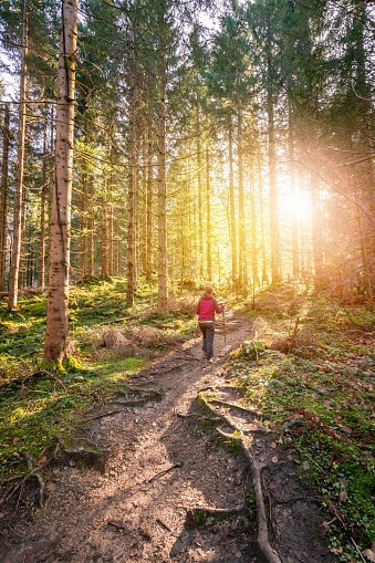 Girl in sportswear hiking in autumnal forest, warm colors