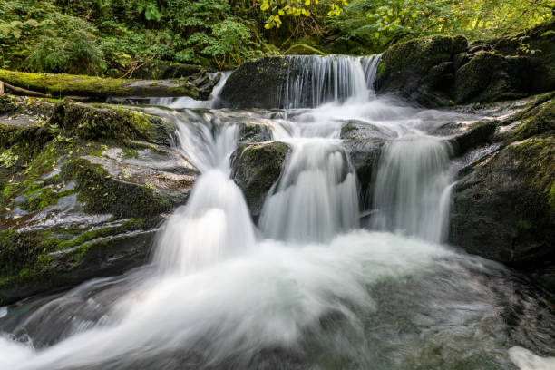 istock Watersmeet in Exnoor National Park 1284522606