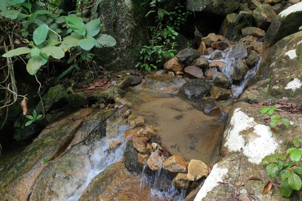 istock Small waterfall in green forest stock 1284523353