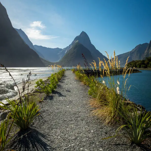 Photo of Mighty Mitre Peak in New Zealand's Milford Sound.