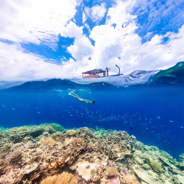 istock Woman swims around coral reef 1284527176