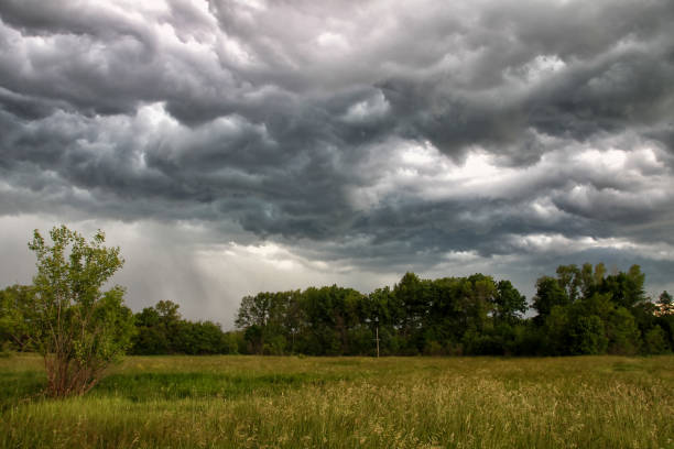 istock Horizontal panorama with a beautiful thundercloud in an open space in the field. 1284527857