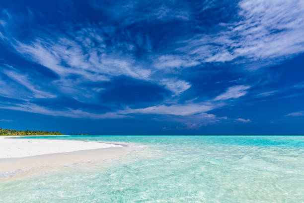 istock White sandy beach in Maldives with amazing blue lagoon 1284532004