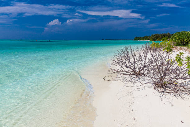 istock White sandy beach in Maldives with amazing blue lagoon 1284532875