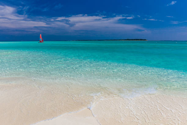 istock White sandy beach in Maldives with amazing blue lagoon 1284532929